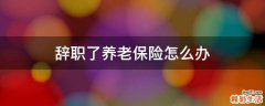 辞职了养老保险怎么办