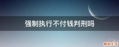 强制执行不付钱判刑吗