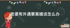老婆有外遇要离婚该怎么办