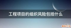 工程项目的组织风险包括什么