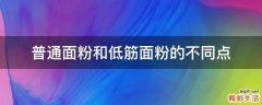 普通面粉和低筋面粉的不同点