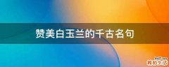 赞美白玉兰的千古名句