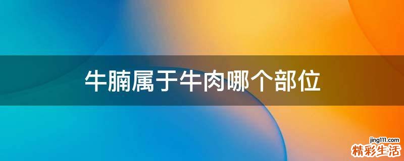 牛腩属于牛肉哪个部位