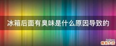 冰箱后面有臭味是什么原因导致的