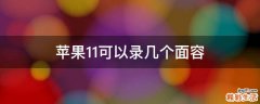 苹果11可以录几个面容
