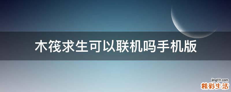 木筏求生可以联机吗手机版