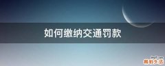 如何缴纳交通罚款
