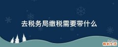 去税务局缴税需要带什么