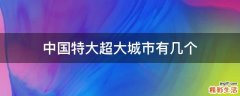中国特大超大城市有几个