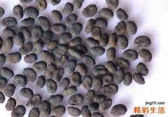 白癜风吃什么食物最好 6种食疗方你知道多少