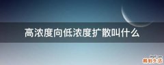 高浓度向低浓度扩散叫什么