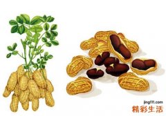 白癜风吃什么能增加皮肤黑色素 家里必备这些食物