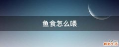 鱼食怎么喂