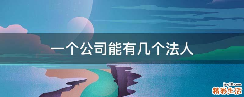 一个公司能有几个法人