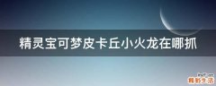 精灵宝可梦皮卡丘小火龙在哪抓