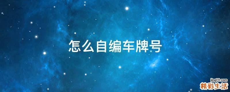怎么自编车牌号