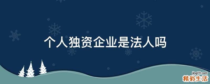 个人独资企业是法人吗