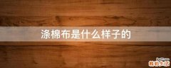 涤棉布是什么样子的