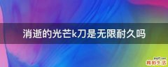 消逝的光芒k刀是无限耐久吗