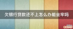 欠银行贷款还不上怎么办能坐牢吗