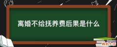 离婚不给抚养费后果是什么