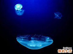生活单调易患孤独症