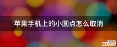 苹果手机上的小圆点怎么取消