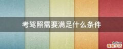 考驾照需要满足什么条件