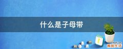 什么是子母带