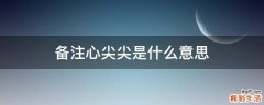 备注心尖尖是什么意思