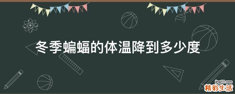 冬季蝙蝠的体温降到多少度