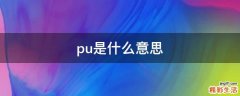 pu是什么意思