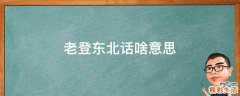 老登东北话啥意思