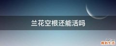 兰花空根还能活吗