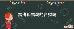 属猪和属鸡的合财吗