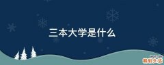 三本大学是什么