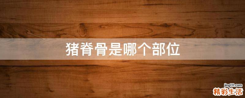 猪脊骨是哪个部位