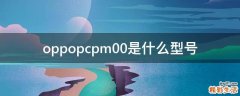 oppopcpm00是什么型号