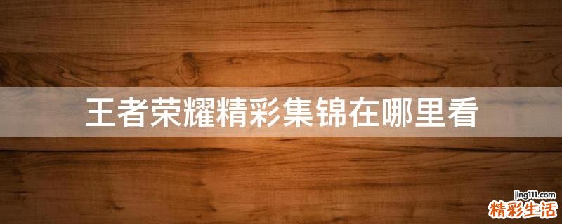 王者荣耀精彩集锦在哪里看