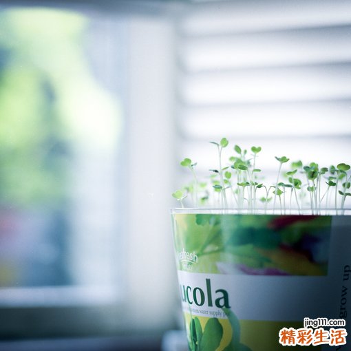 皮下脂肪坏死的原因_皮下脂肪坏死是怎么引起的