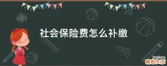 社会保险费怎么补缴