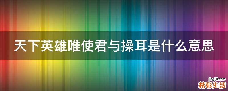 天下英雄唯使君与操耳是什么意思
