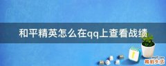 和平精英怎么在qq上查看战绩