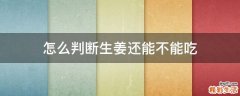 怎么判断生姜还能不能吃