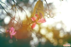 【脸上长痘痘怎么调理】 油性肌推荐药妆皙肤泉祛痘