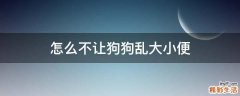怎么不让狗狗乱大小便