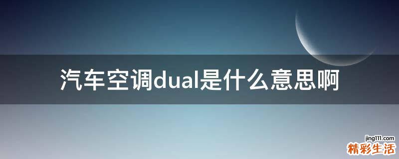汽车空调dual是什么意思啊