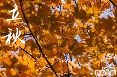 2023立秋下雨好不好 立秋下雨好还是天晴好