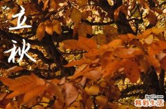 2023立秋是公立秋还是母立秋 今年立秋是公是母