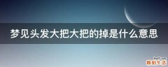 梦见头发大把大把的掉是什么意思